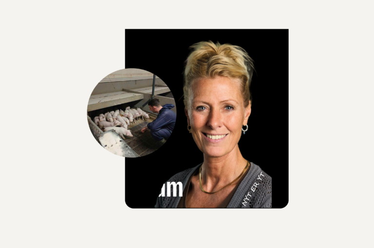 Mon utryghed bliver til primitive hadkommentarer?